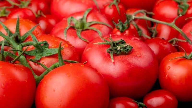 工厂体检套餐批量报价背后的考量因素
